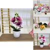 Butterfly Orchid Fake Flower Pot Plant For Event Decorations And Photography Sessions