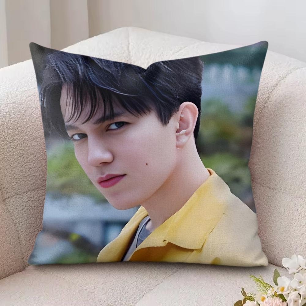 Новое поступление Чехол на подушку D-Dimash Шелковистый короткий плюш Невидимая молния Пылезащитный чехол для диванной подушки Для домашнего декора