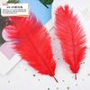20Pcs57 Big Red Feather Diy Jewelry Accessories Clothing Handicrafts Decorative Materials