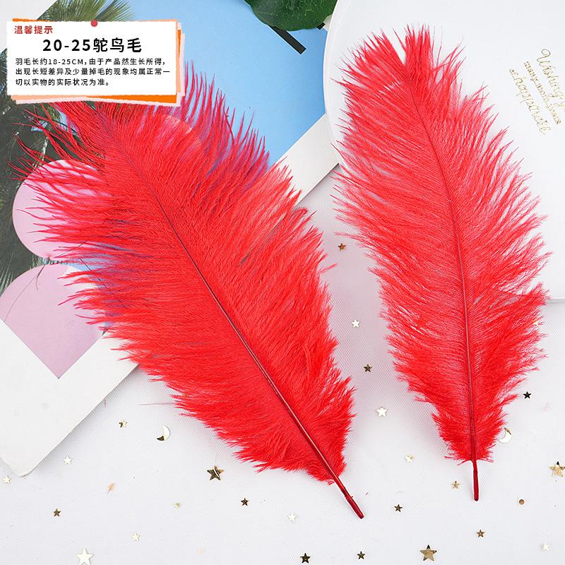 20Pcs57 Big Red Feather Diy Jewelry Accessories Clothing Handicrafts Decorative Materials