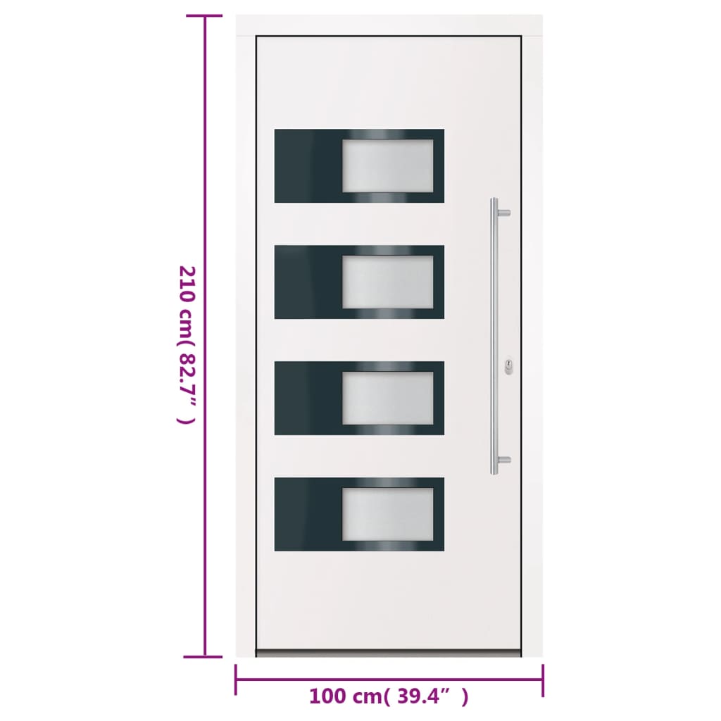 White Exterior Door 100x210 cm Aluminum and PVC