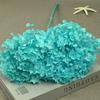 Phantom Flower: Single 20CM Preserved Hydrangea, Handmade Dried Bouquet for Decoration