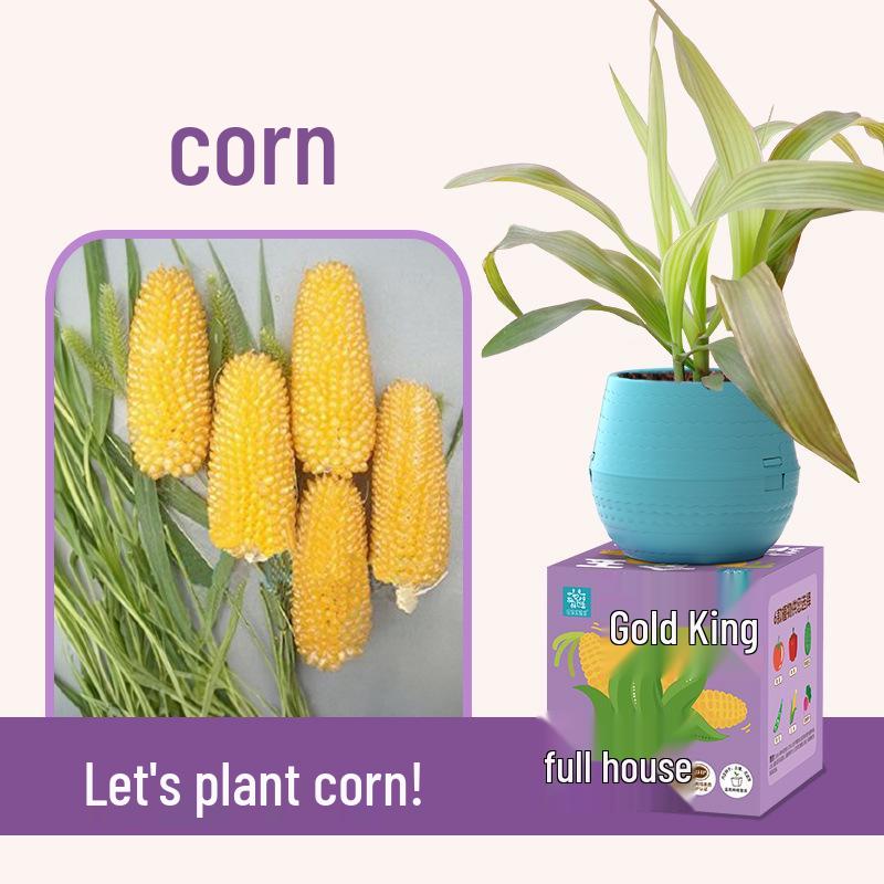 Kids' Chili Planting Pot - Primary School Gardening Kit