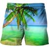 Men Shorts Summer 3D Printed Casual Ordinary Youth Beach Short Pants Spring Little Stretch Short Trousers