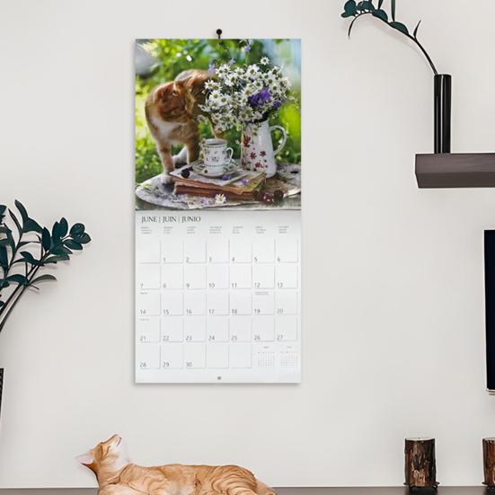 Кошки в деревне 2026 Календарь 12 месяцев с января по декабрь Ежемесячный Еженедельный Планировщик