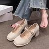Premium Feeling with Skirt Thick Heel Single Shoes 2025 Spring and Summer New Fashion Versatile and Comfortable Square Head Mary Jane Single Shoes