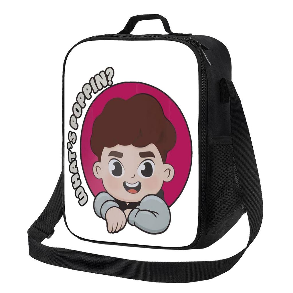 Caylus Lunch Bags Insulated Bento Box Portable Lunch Tote Resuable Picnic Bags Cooler Bag for Woman Kids School