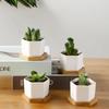 Geometic White Ceramic Square Bonsai Planter Little Succulent Flower Pots Modern Small Cactus Flowerpot Bamboo Tray