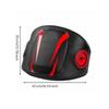 Shock Absorbing Boxing Belly Protector Contoured Sparring Pad Padded