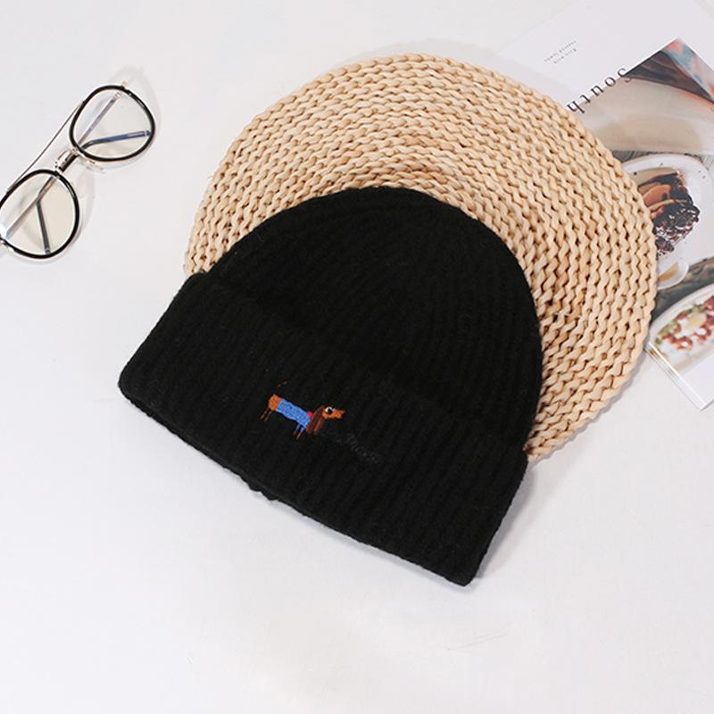 Ins Cute Puppy Knitted Hat for Women Autumn and Winter Students Cold Protection and Warm Versatile Wool Hat Couple Pullover Hat
