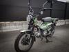 TERAMOTO Performance Color Передний Левый Правый Золотой для CT125 Hunter Cub (JA55/65) PC-H10-05