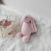 Cute Long-Eared Bunny Plush Toy 25cm Soft Stuffed