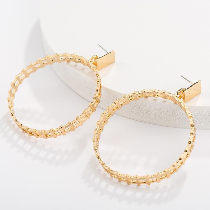 Stylish Gold Plated Geometric Earrings Trendy Street Style Must-have Jewelry
