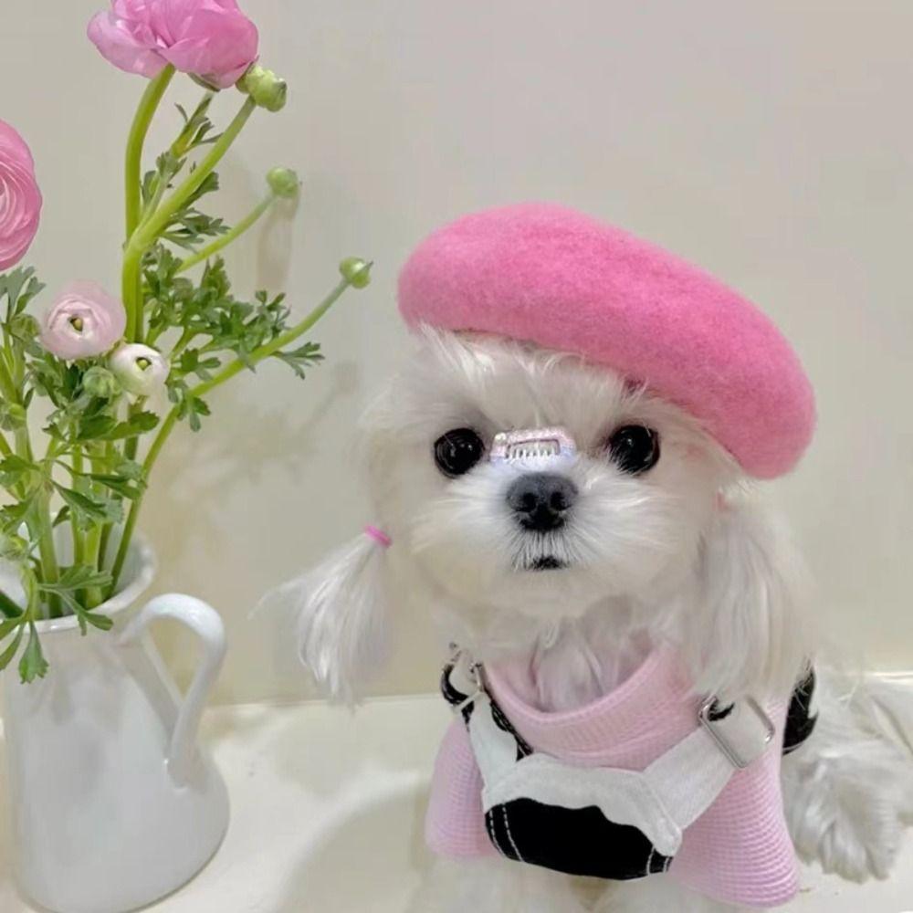 Ins Solid Color Mini Cat Accessories Dog Beret Cat Hat Pet Wool Cap Pet Headwear