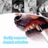 Stainless Steel Ultrasonic Dog Dental Cleaner with USB Charging LED Light Cat Dog Teeth Cleaning 3- Adjustable Double Cleaning Shampoo Pet Supplies