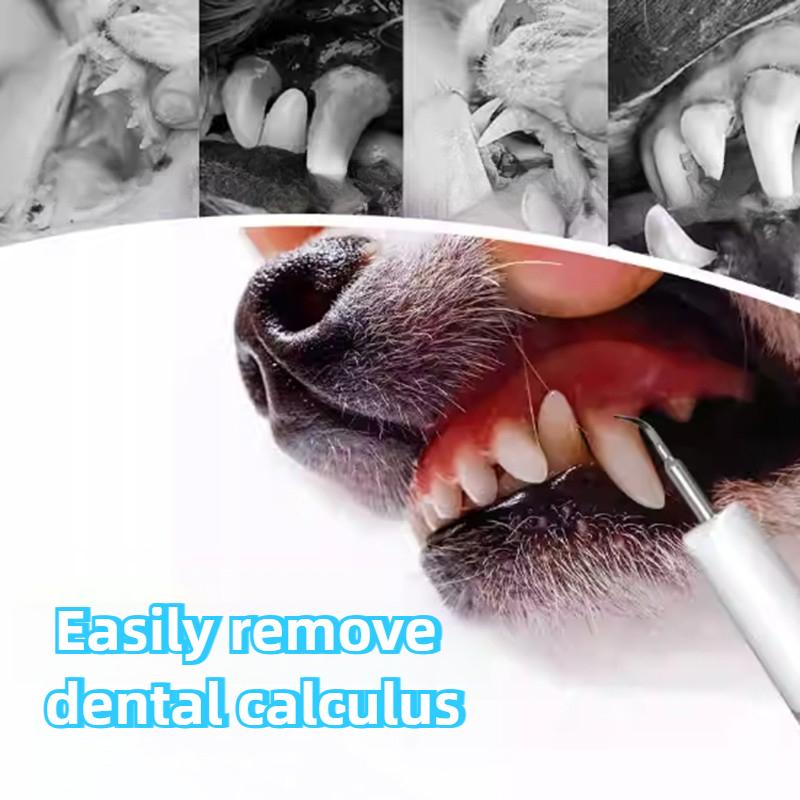 Stainless Steel Ultrasonic Dog Dental Cleaner with USB Charging LED Light Cat Dog Teeth Cleaning 3- Adjustable Double Cleaning Shampoo Pet Supplies