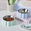 Cuenco elevado para gatos y perros, comedero antideslizante de acero inoxidable para mascotas