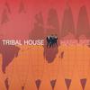 12-дюймовая пластинка TRIBAL HOUSE Mainline COOLX229 Cooltempo 1991 UK Dance Electronica Б/у