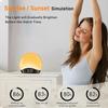 Wake Up Feeling Refreshed And Energized Sunrise Alarm Clock Easy To Read And Silent Operations
