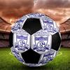 Schalke 04 Indoor Soccer Ball Colorful Machine Stitched PVC Size 5 Team Training Competition Ready Durable High-Bounce Cool Sports Gift