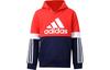 Adidas Kids Sweatshirts Hooded Moderate GS8884