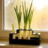 Ventilated Cultivation Pot Plastic Soilless Cultivation Pot  Coriander Planting