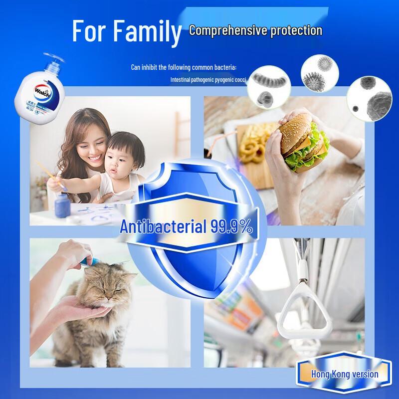 Walch Healthy Antibacterial Hand Wash with Silk Protein