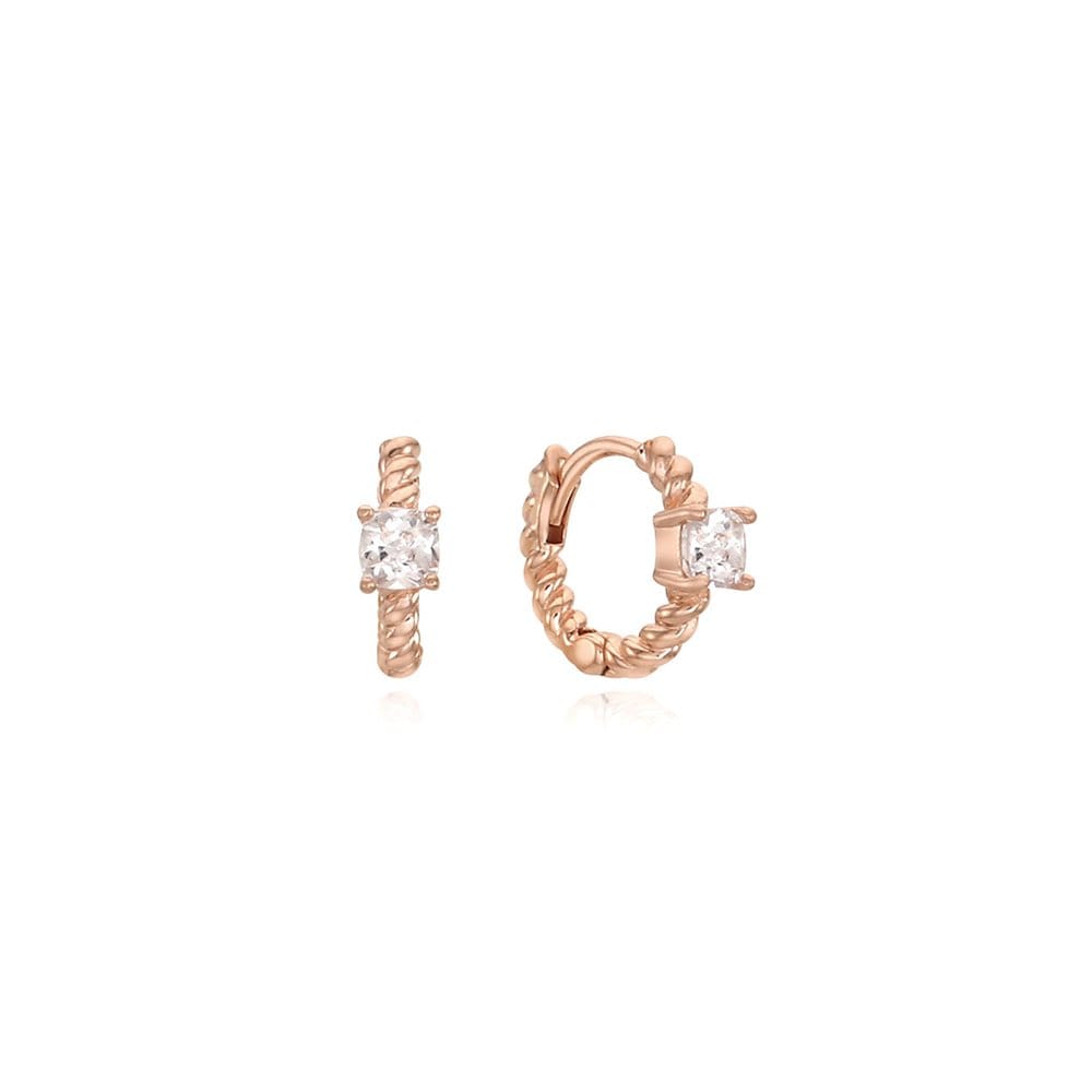[Rosemont] Silver Earrings Rc0177