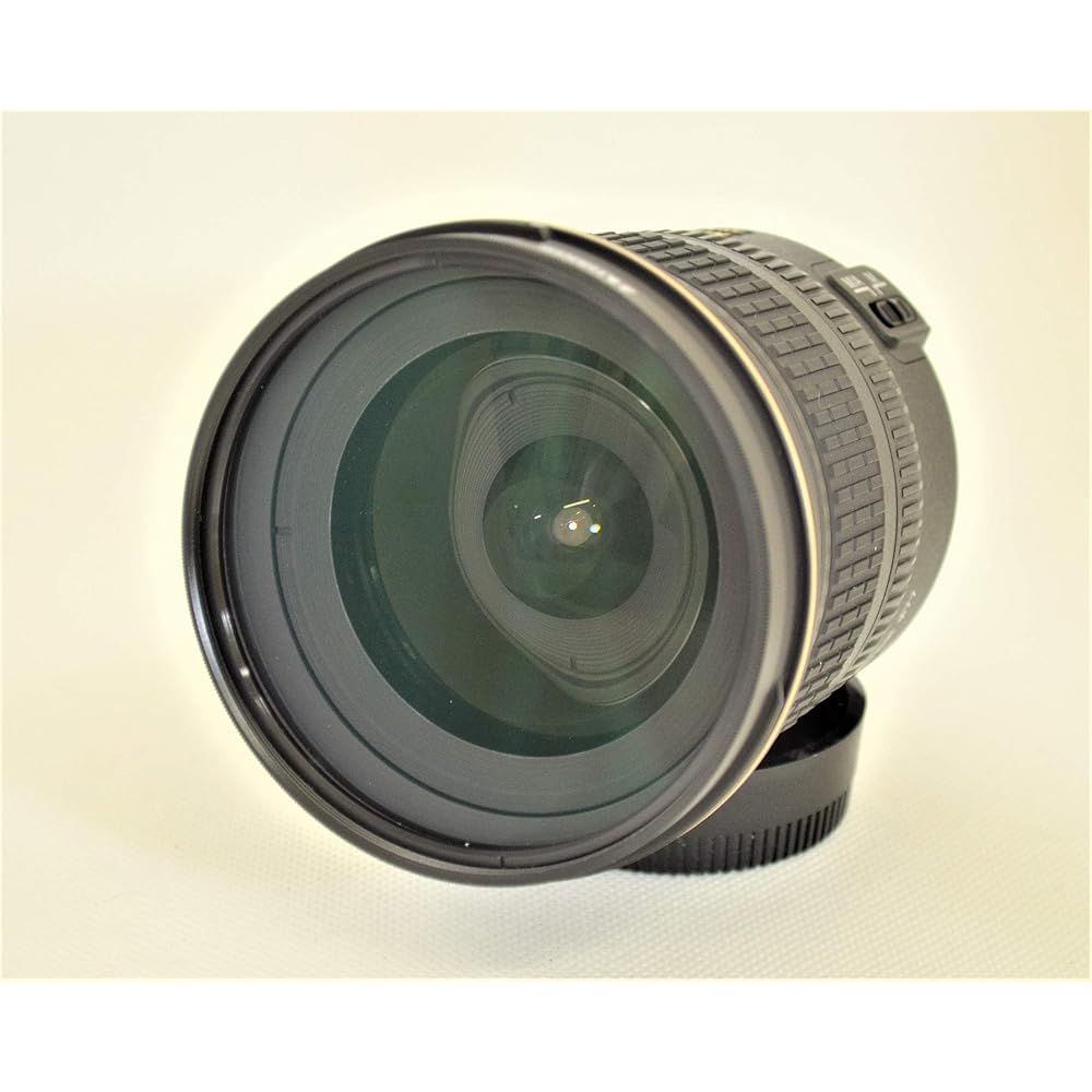 Nikon AF-S DX Zoom Nikkor 12-24mm f/4G IF-ED ultra-wide-angle zoom lens (for Nikon DX format only)