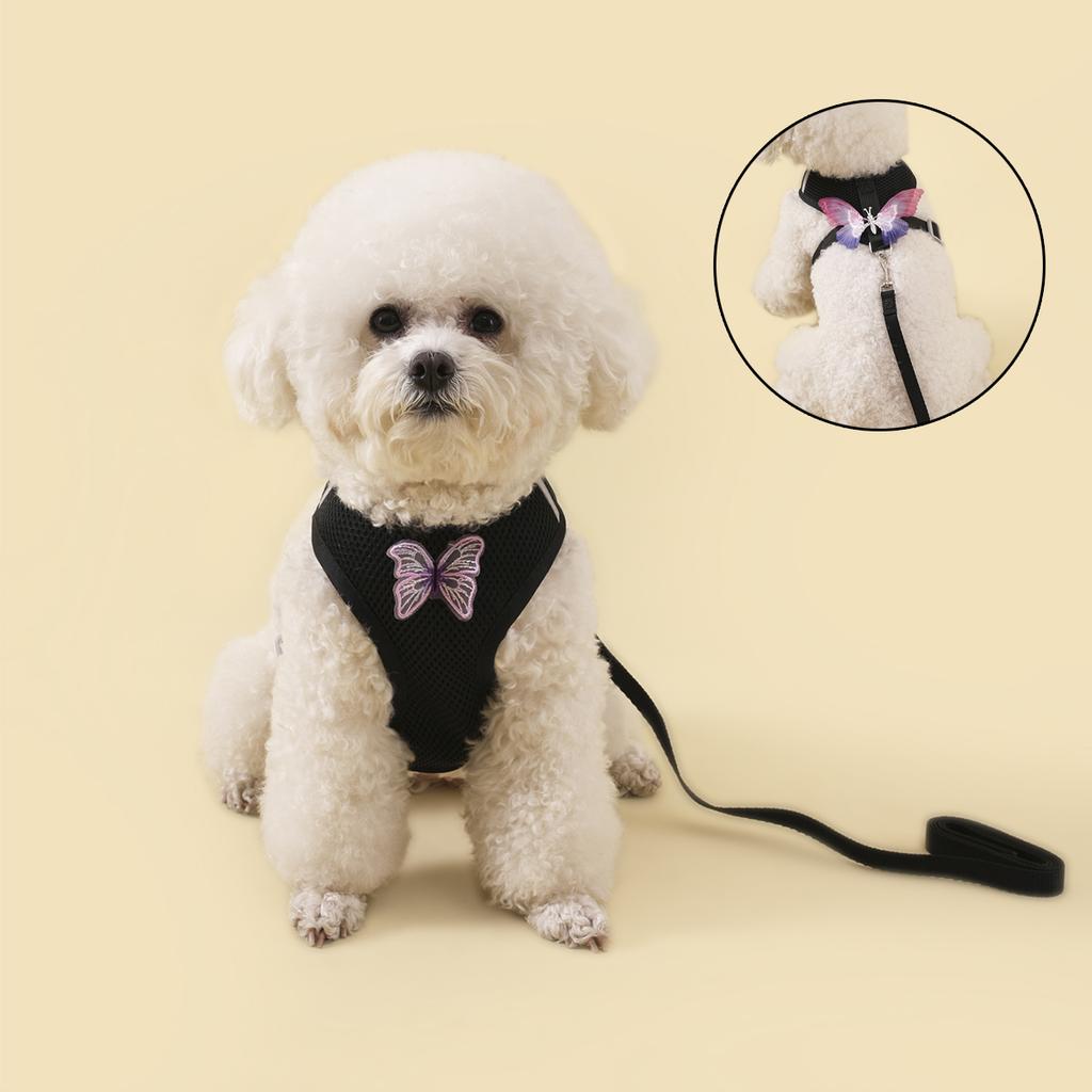 Butterfly Dog Harness and Leash Sets for Small Dog Leash Breathable Cat Harness and Leash Sets Outwalking Dog Strap Pet Harness
