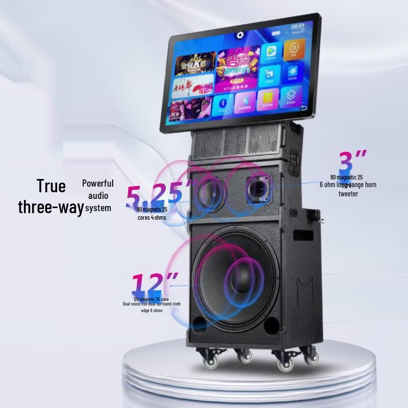 SAST ST-2116 Home KTV & Theater Speaker System (CN version)