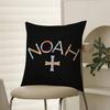 Fashionable Traditional Design Style-NOAH Pillow Case Comfort Sofa Bed Silky elegant Invisible zipper Decorative cushion cover