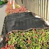 Sunshade Net, Sunscreen Net, Thickened Sunshade, Heat Insulation, Black, Household, Outdoor, Car, Sunshade Resistant