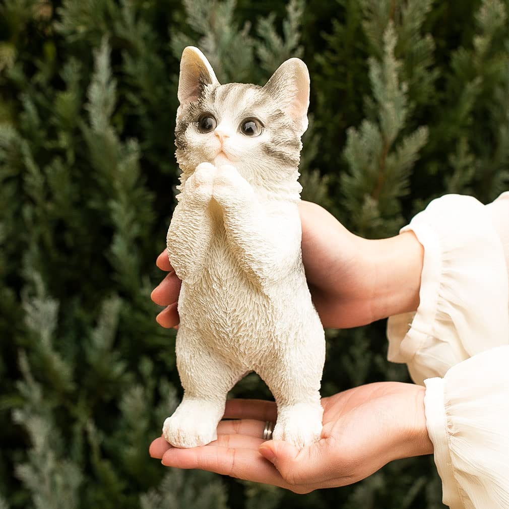 Devalier Cat Interior Garden Perfect Gift for Cat Birthday Made of Resin cn76 Figurine, Ornament, Lovers, Gift, Women, (Onegai Mabatora)