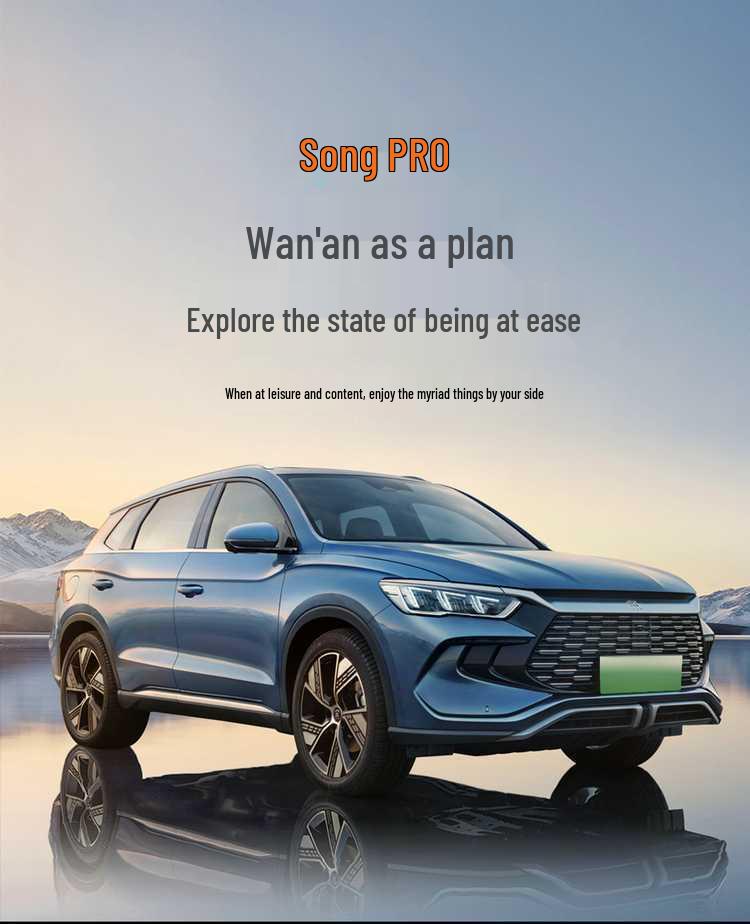 Специальные чехлы и подушки для сидений автомобиля BYD Song Promi - Полное покрытие, Всесезонные