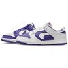 Nike Женские кроссовки для скейтбординга Dunk Low 'Flip The Old School' DJ4636-100