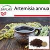 Полынь сладкая Цин Хао - 250 семян - С горшечным субстратом для лучшего выращивания - Artemisia annua