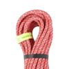 Edelrid Climbing Rope Guide Assist Pro Dry 20m RD 8.0mm ER76036.020 (Красный/FF/Мужской, Женский)