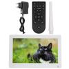 11.6in 16:9 1920*1080 1080P Body Induction Digital Photo Frame Supports for Video Picture Playback
