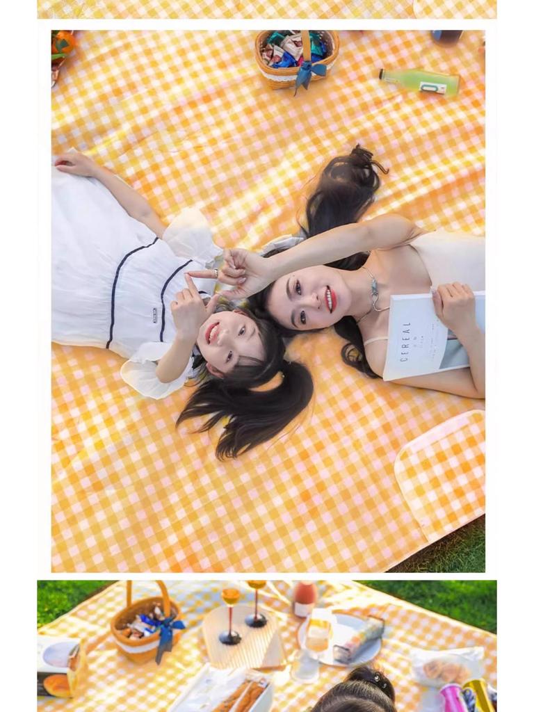 Thick Waterproof Outdoor Picnic Mat – Portable, Moisture-Proof, Foldable Camping Cushion