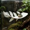 Suction Cups Reptile Habitat Leaf PLA Basking Rest Terrace New Lizard Habitat Leaf  Vivarium