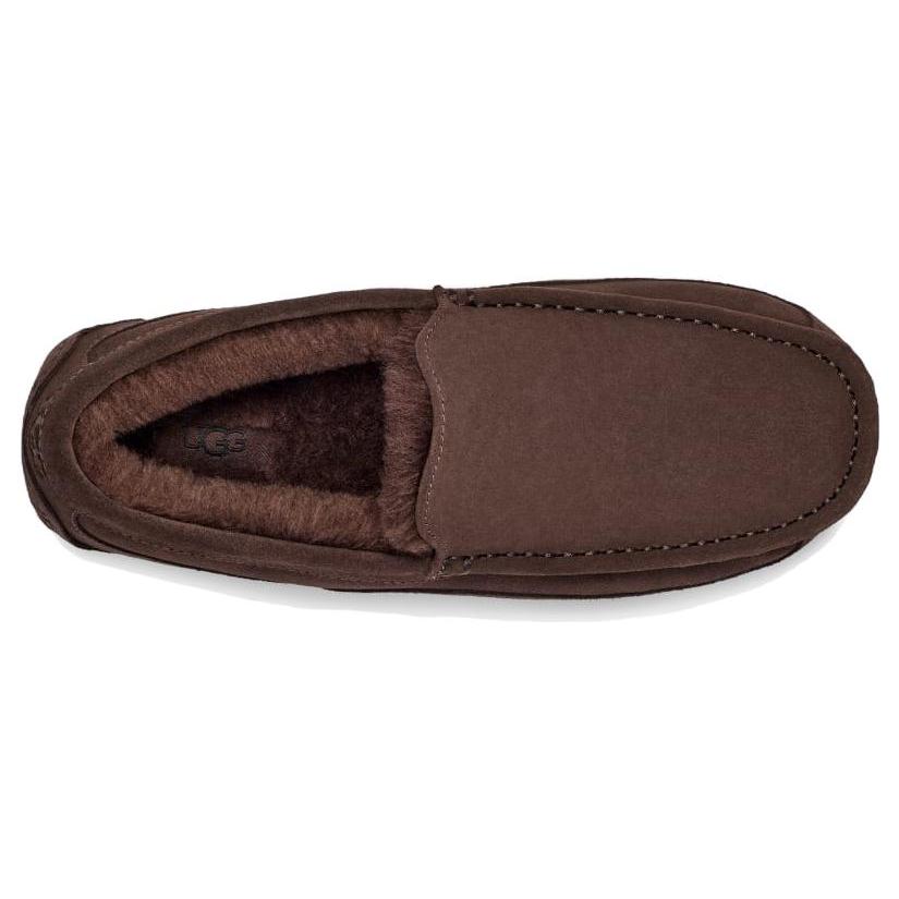 UGG Тапочки Аскот Цвет Какао с Пылью 1101110-DDC