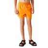 Regatta Childrens/Kids Skander III Plain Swim Shorts