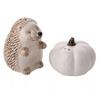 Country Living Ceramic Hedgehog Salt And Pepper Shakers Set