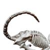 Украшение на Хэллоуин Реалистичные Динозавры Атмосфера Пластик Ужас Кошка Скелет Украшение Кости Животных Жуткий Для Домашней Вечеринки
