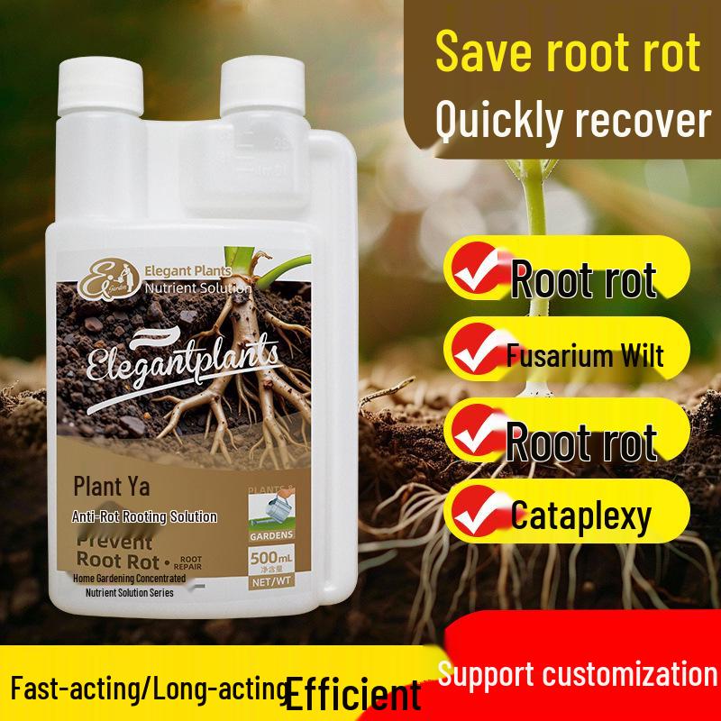 Zhiya Root Cure 500g: Prevents Root Rot, Fusarium Wilt, and Supports Weak Roots & Growth.