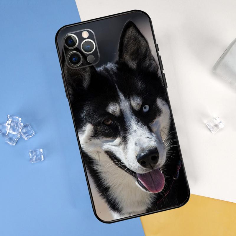 Siberian Husky Sled Dog Phone Case For iPhone 16 Pro Max 12 13 Mini 11 14 15 Pro Max XR 16 15 Plus 16e Cover Shell