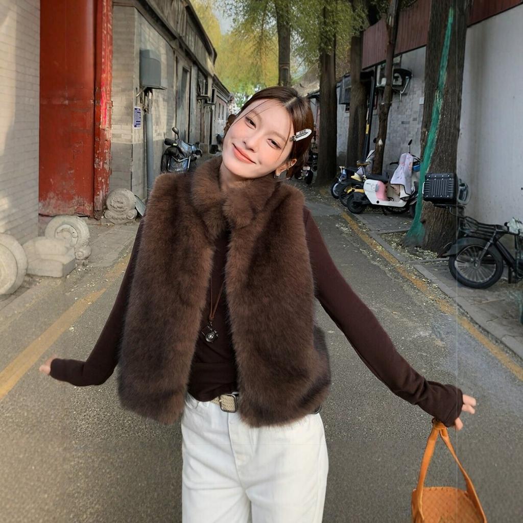 New imitation fur vest women's short sleeveless stand-up collar fur coat autumn and winter warm versatile vest