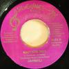 7inch Record JAHMALI - Matters Not SIL0001 Silverline Musi 1996 Jamaica Reggae, Ska & Dub Used