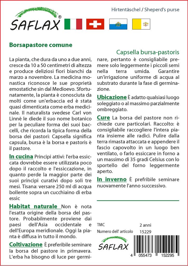 SAFLAX Garden in the Bag - Пастушья сумка - 1000 семян - С субстратом в подходящем мешке - Capsella bursa-pastoris